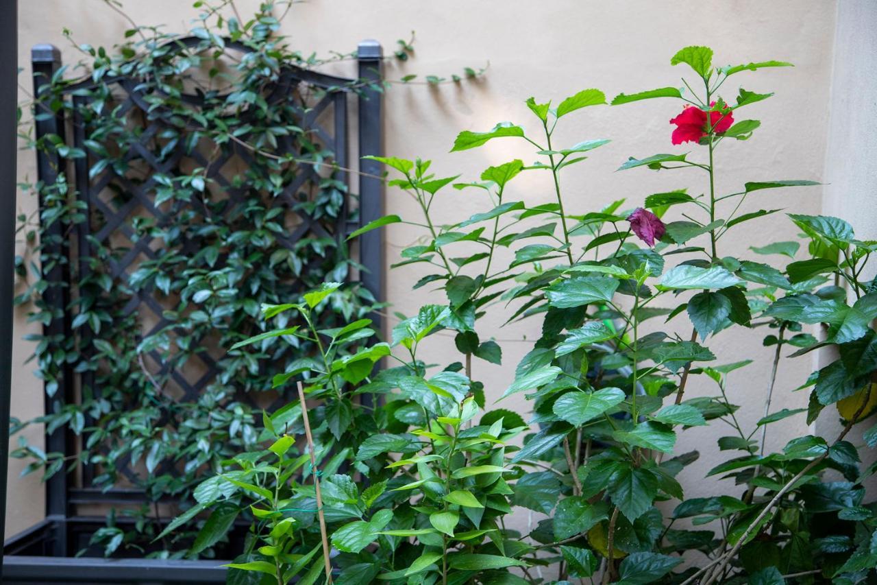B&B I Propilei Di San Girolamo Rimini Zewnętrze zdjęcie